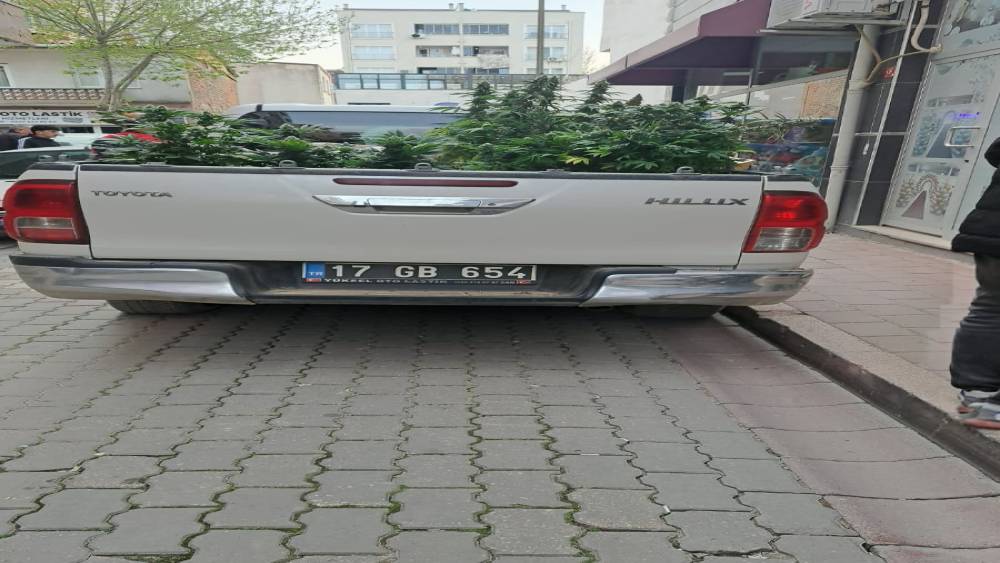 &Ccedil;anakkale&rsquo;de evinde kenevir yetiştiren şahıs g&ouml;zaltına alındı
