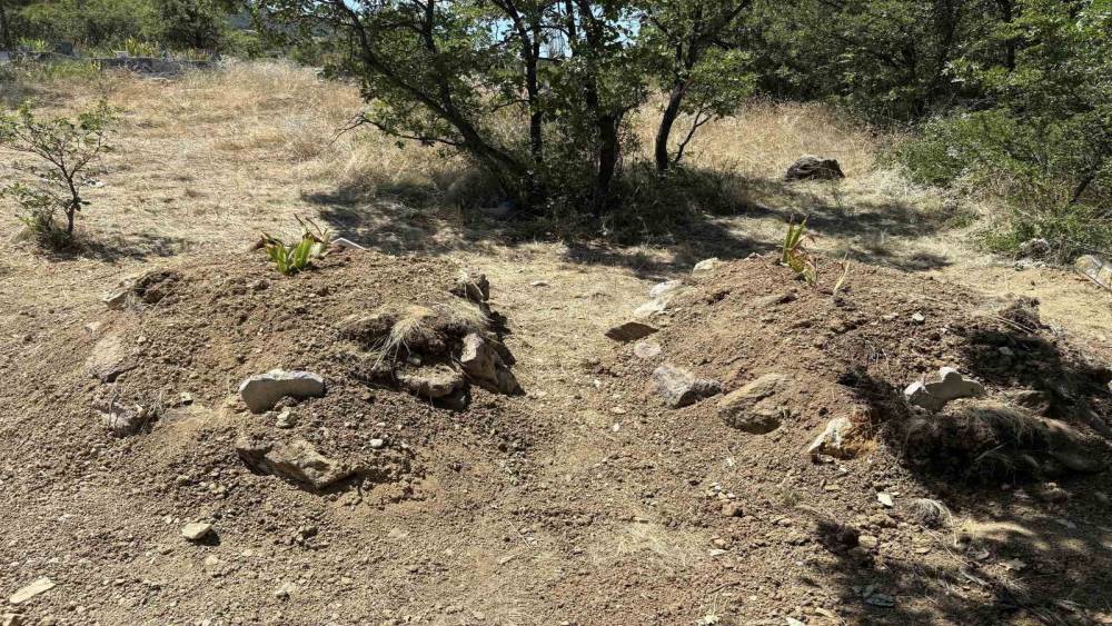 Kiraz yedikten sonra zehirlenerek &ouml;ld&uuml;kleri iddia edilen &ccedil;ift yan yana toprağa verildi

