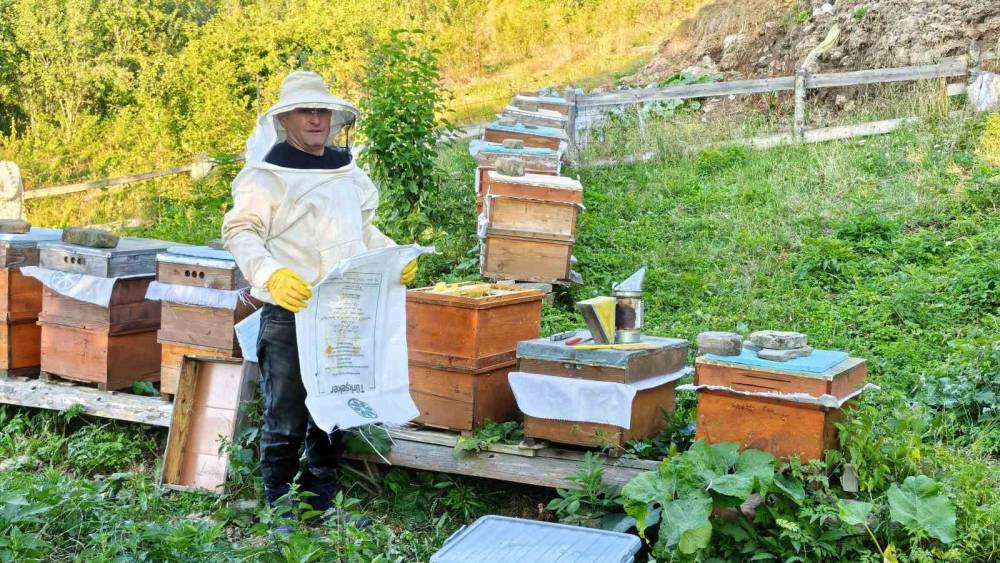 Sinop&rsquo;un k&ouml;y&uuml;nden sofralara doğal bal yolculuğu

