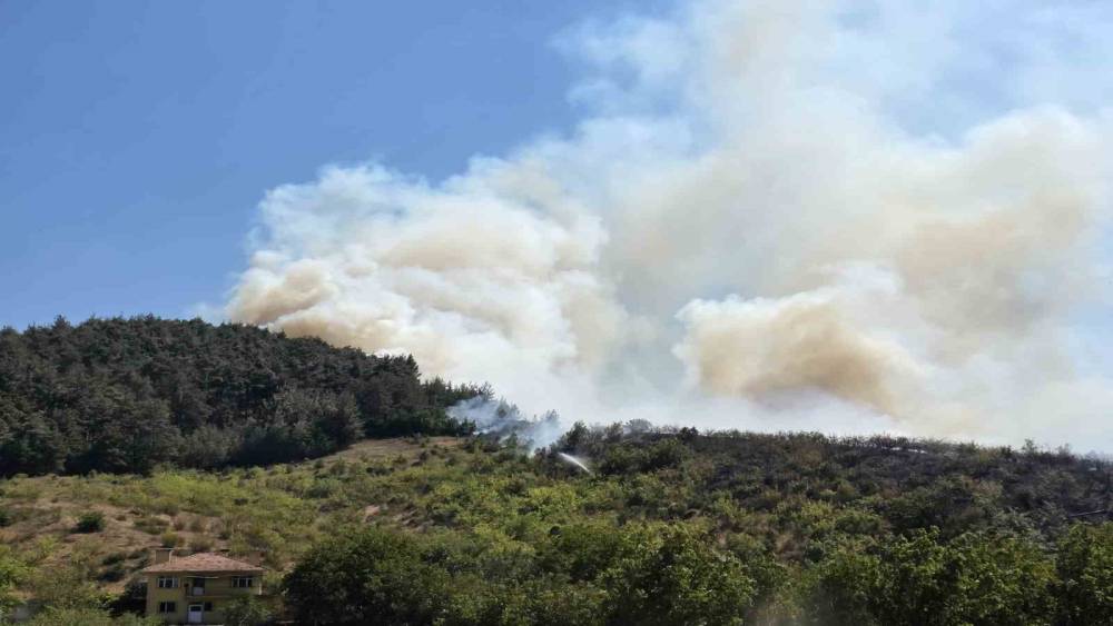 Balıkesir&rsquo;de otluk alanda başlayan yangın ormana sı&ccedil;radı
