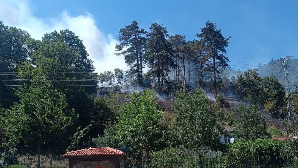 Sinop&rsquo;taki orman yangınıyla ilgili 1 kişi tutuklandı
