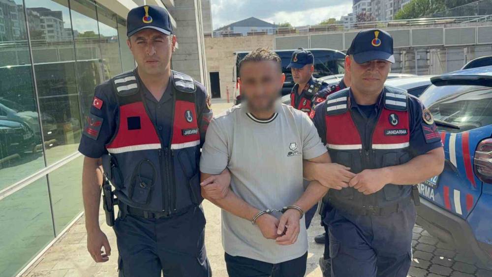 Ayva dalını kestiği i&ccedil;in amcasını &ouml;ld&uuml;ren gurbet&ccedil;i yakalandı
