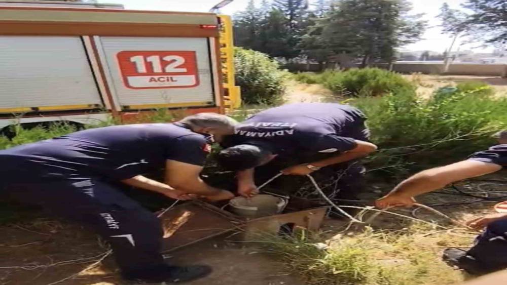 Kuyuya d&uuml;şen yavru kediyi itfaiye kurtardı
