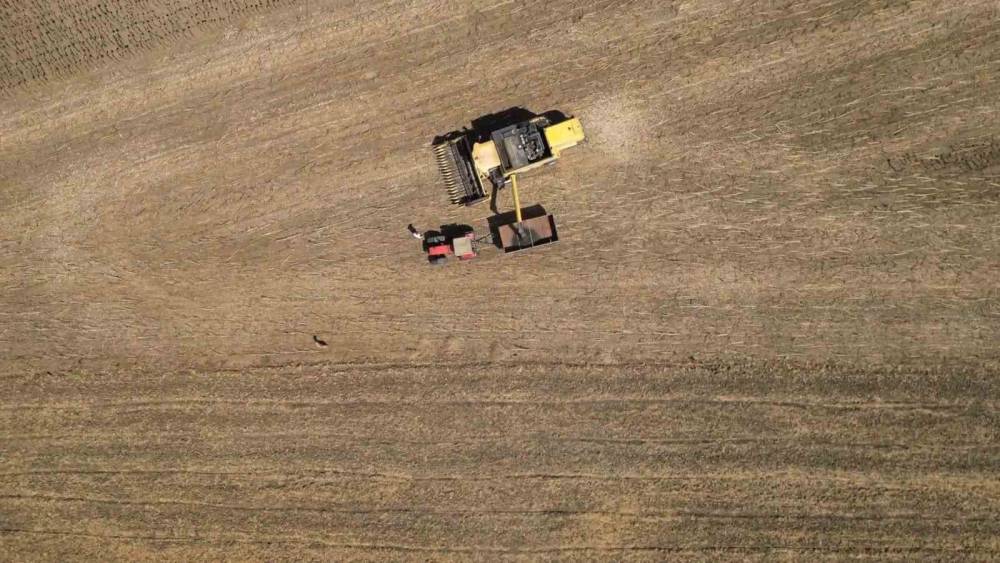 Tohumdan hasada: Ay&ccedil;i&ccedil;eğinin bir sezonluk yolculuğu
