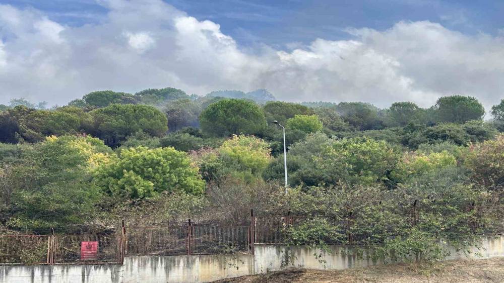 Maltepe&rsquo;de ormanlık alanda korkutan yangın: Alevler Kenan Evren Kışlası&rsquo;na sı&ccedil;radı
