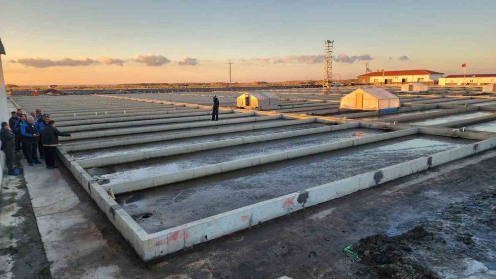 &Ccedil;anakkale&rsquo;deki deniz solucanları yetiştiriciliği tesisi sekt&ouml;rde tek
