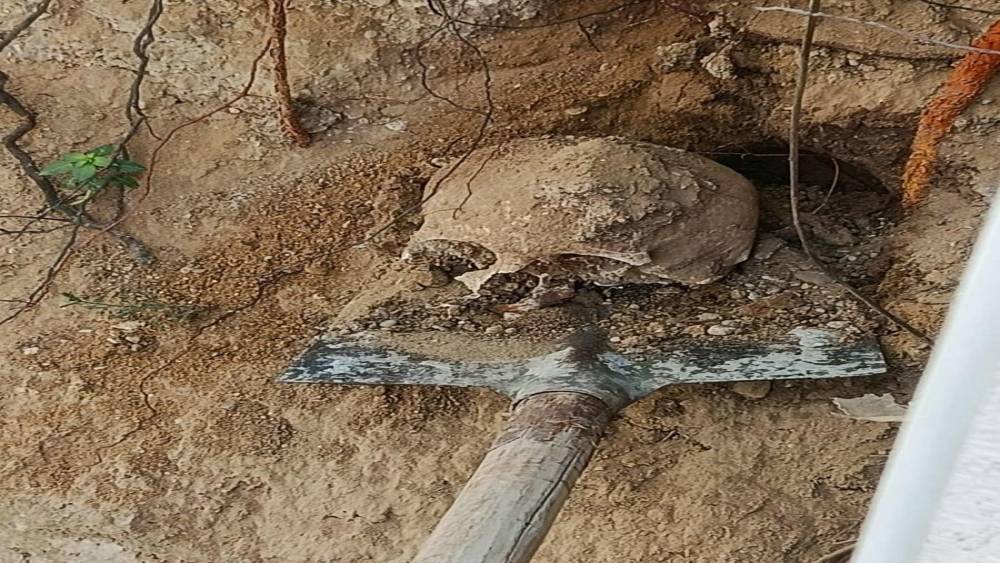 Bah&ccedil;ede yapılan kazıda insan kafatası ve kemikler bulundu
