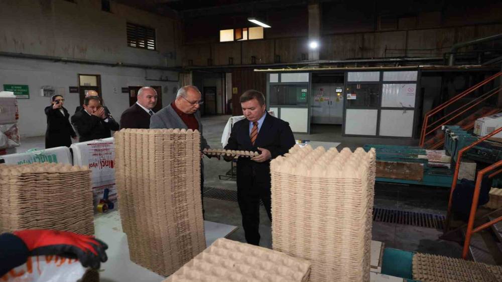 Erzincan&rsquo;dan T&uuml;rkiye&rsquo;ye viyol &uuml;retimi
