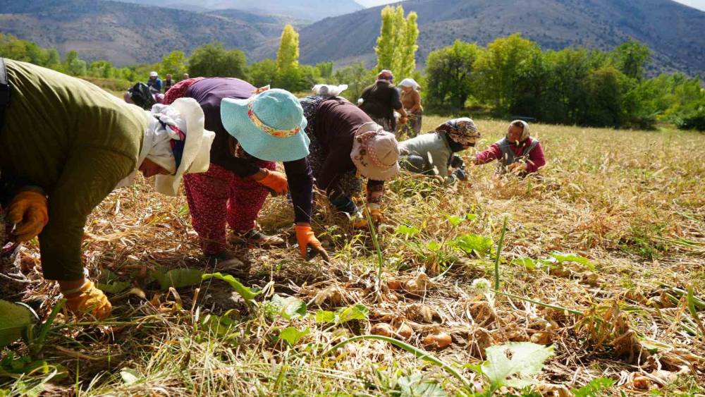 Erzincan&rsquo;a 169,6 milyon liralık tarımsal hibe desteği
