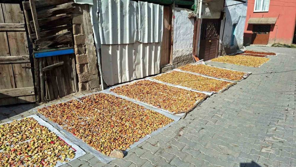 Hisarcık&rsquo;ta elma kurusu fiyatı d&uuml;şt&uuml;, &uuml;retici y&uuml;kseliş bekliyor
