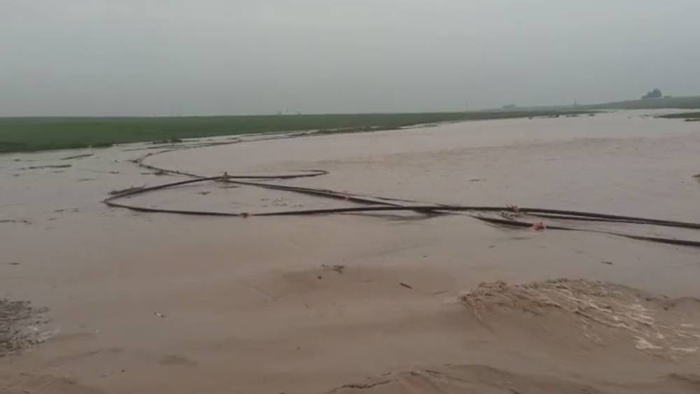 Mardin&rsquo;de sağanak hayatı fel&ccedil; etti: Dereler taştı, ahır &ccedil;&ouml;kt&uuml;
