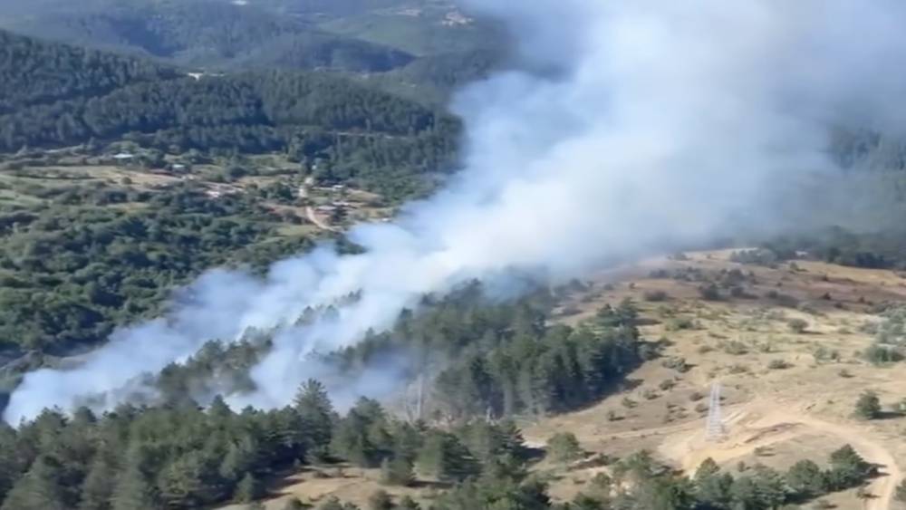 Kastamonu&rsquo;da &ccedil;ıkan orman yangını ekiplerin hızlı m&uuml;dahalesiyle s&ouml;nd&uuml;r&uuml;ld&uuml;

