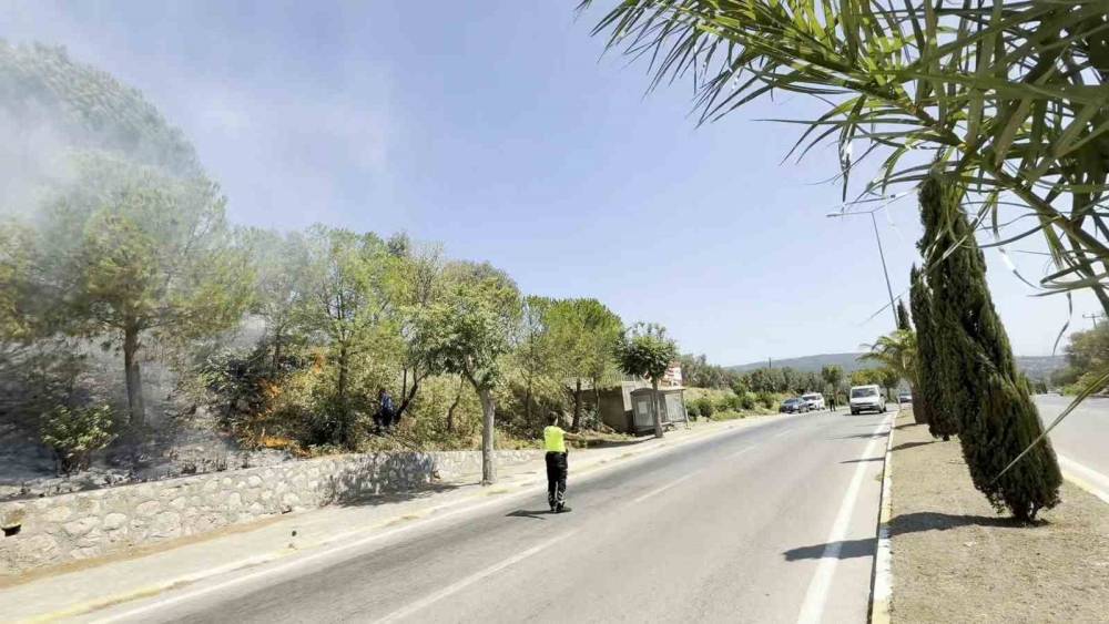 Yol kenarında başlayan yangın ormana sı&ccedil;radı, ekiplerin m&uuml;dahalesiyle s&ouml;nd&uuml;r&uuml;ld&uuml;
