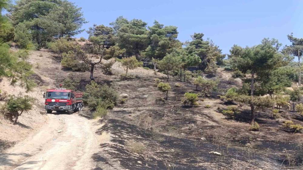 Kahramanmaraş&rsquo;ta orman yangını kontrol altına alındı
