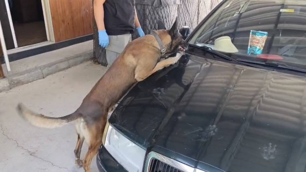Samsun&rsquo;da peş peşe uyuşturucu operasyonları: 1 kilo 225 gram metamfetamin ele ge&ccedil;irildi
