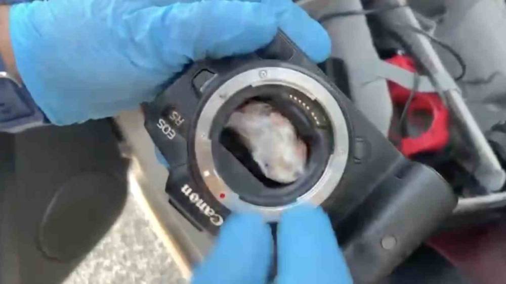 Fotoğraf makinesinin i&ccedil;inden uyuşturucu &ccedil;ıktı: 2 g&ouml;zaltı

