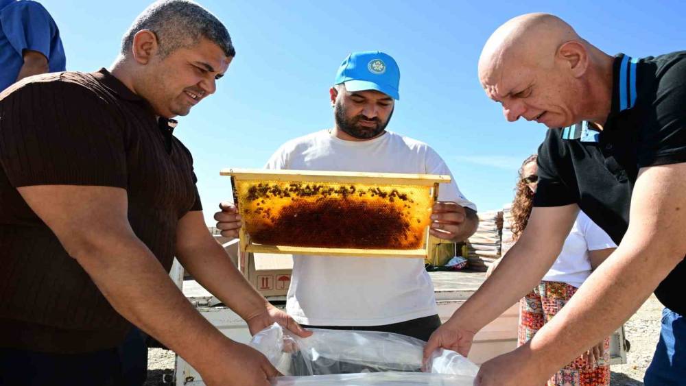 Manisa&rsquo;da arıcıların peteklerine eksi 30 derecelik koruma
