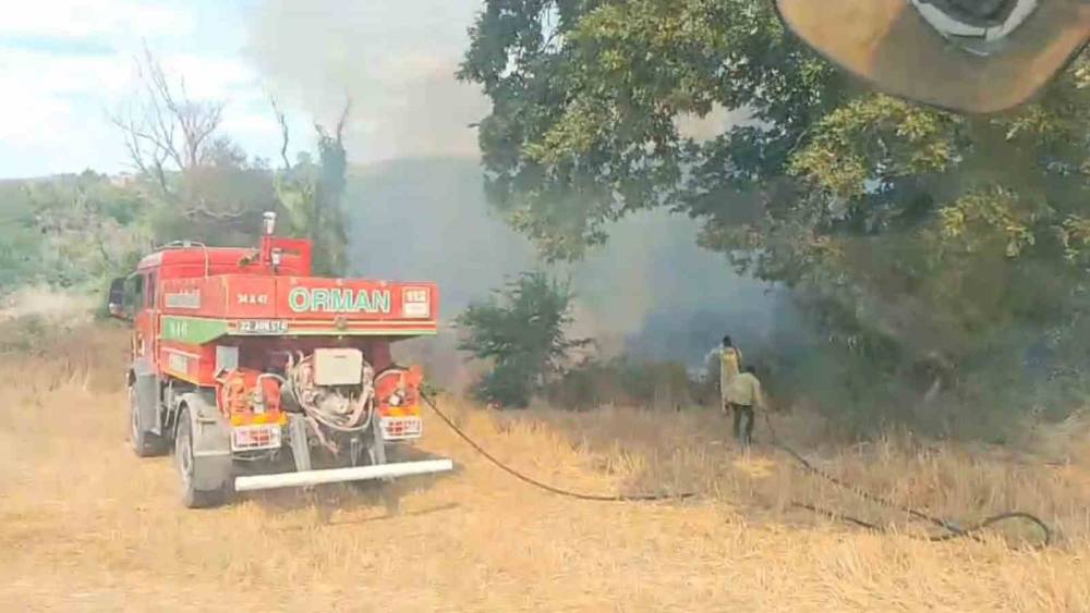 Subaşı&rsquo;nda ağa&ccedil;lık alanda yangın
