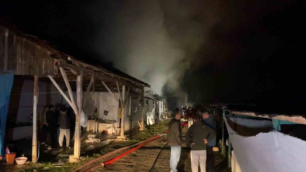 Bursa&rsquo;da hayvan &ccedil;iftliği alevlere teslim oldu
