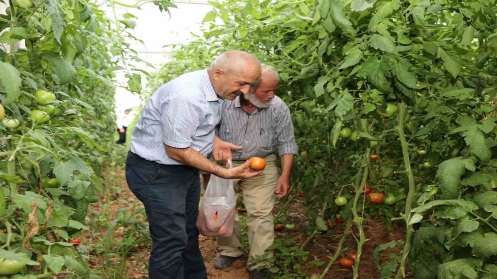 Gebze Belediyesinden &ccedil;ift&ccedil;ilere tarımsal &uuml;retim desteği
