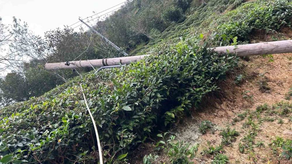 Kuvvetli r&uuml;zg&acirc;r nedeniyle devrilen ağa&ccedil; evin &ccedil;atısına d&uuml;şt&uuml;
