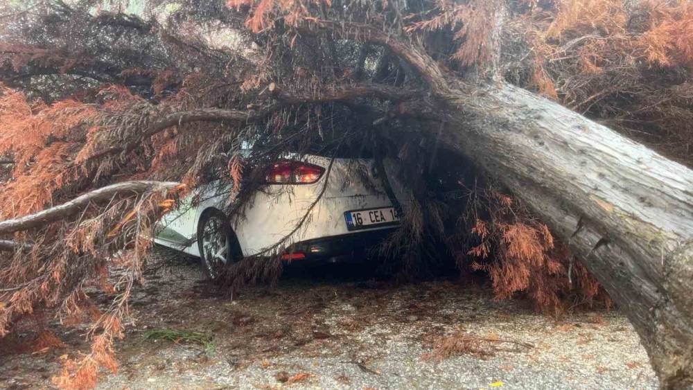 Bursa&rsquo;da sağanak yağış ağacı devirdi, otomobilin &uuml;zerine d&uuml;şt&uuml;
