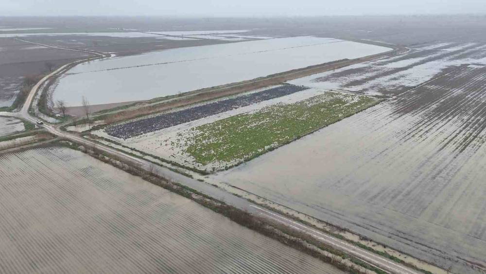 Sağanak yağmurdan sonra binlerce d&ouml;n&uuml;m tarım arazisi sular altında kaldı
