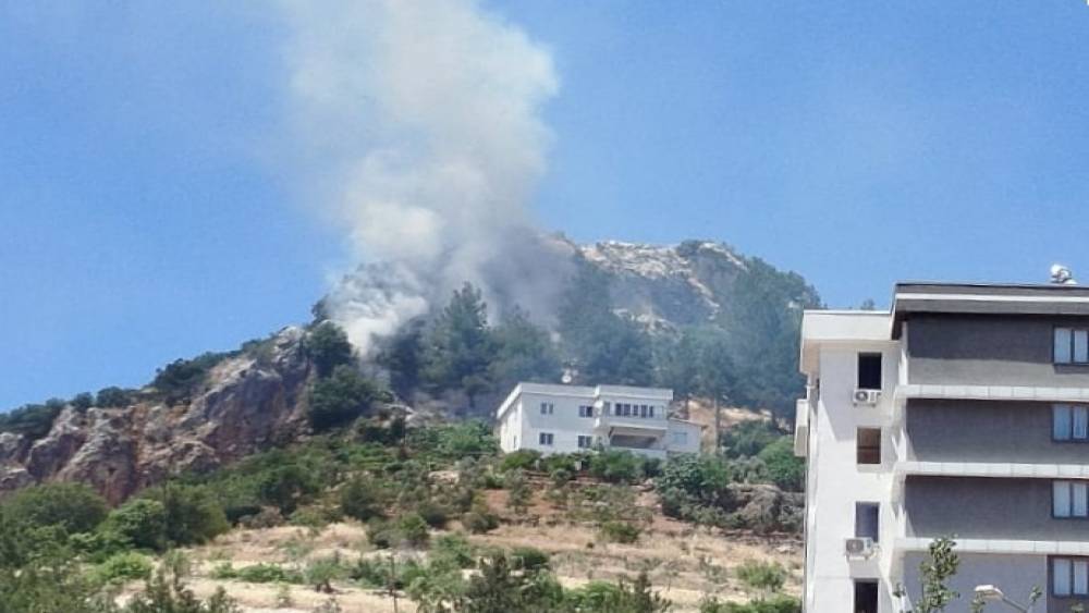 Kahramanmaraş&rsquo;ta orman yangını
