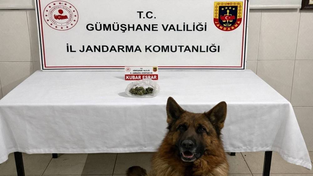 G&uuml;m&uuml;şhane&rsquo;de uyuşturucu operasyonu
