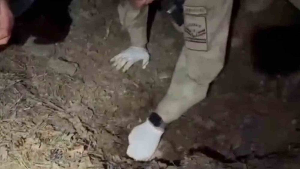 Bilezikler i&ccedil;in anneyi ve oğlunu &ouml;ld&uuml;ren katil morga gidip, olayı ger&ccedil;ekleştirenleri g&ouml;rd&uuml;ğ&uuml;n&uuml; s&ouml;ylemiş
