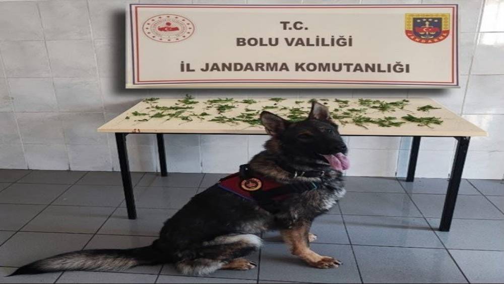 Bolu&rsquo;da jandarmadan peş peşe uyuşturucu ve ka&ccedil;ak&ccedil;ılık operasyonları: 3 tutuklama
