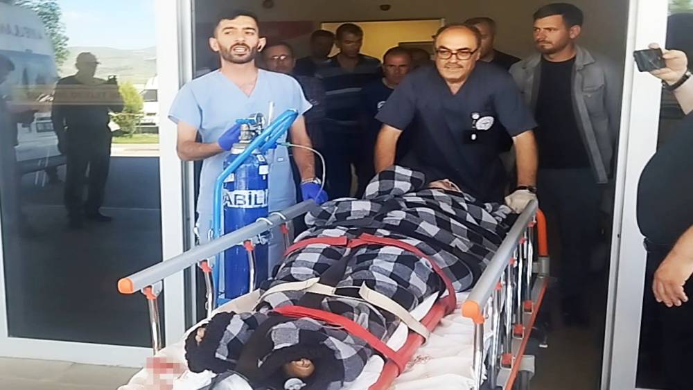 Hayvanlarını otlatırken ayı saldırısına uğradı, Kangallar imdadına yetişti
