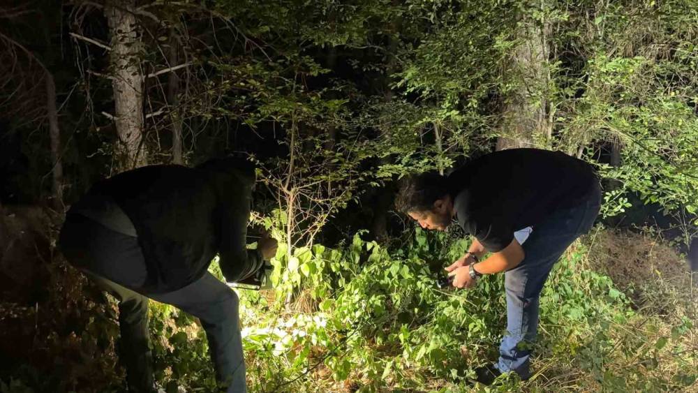 K&uuml;tahya&rsquo;da ormanlık alanda silahlı yaralama: 1 kişi yakalandı
