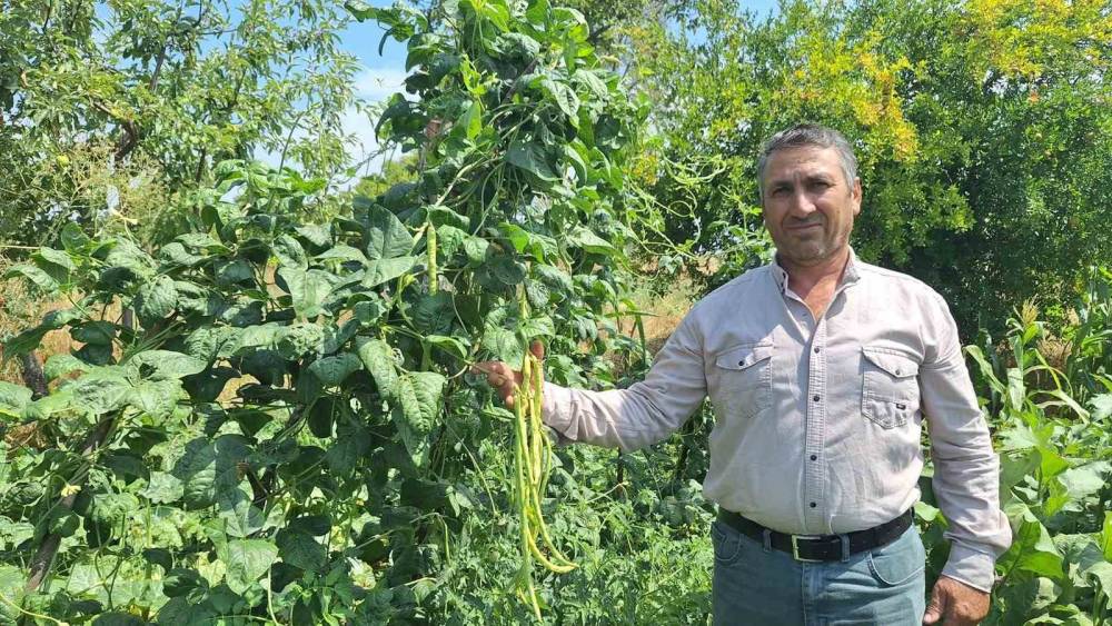 B&ouml;r&uuml;lce &uuml;reticisinin y&uuml;z&uuml; g&uuml;l&uuml;yor
