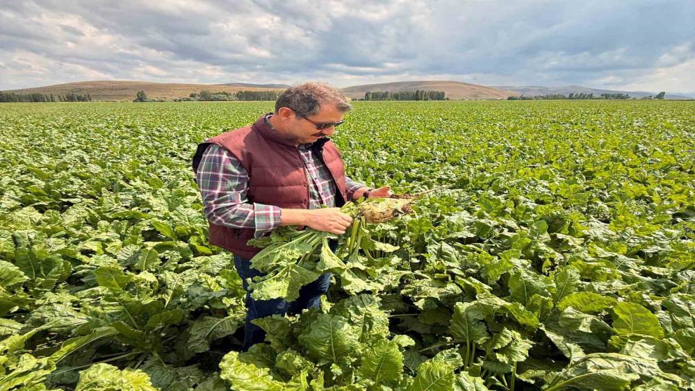Milli Savunma Bakan Yardımcısı Ayhan&rsquo;dan memleket paylaşımı
