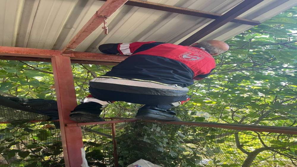 Vatandaşları tedirgin eden 1 bu&ccedil;uk metre yılanı itfaiye yakaladı
