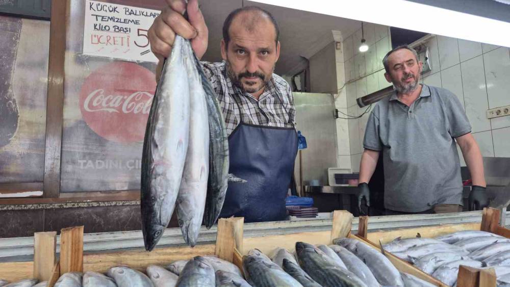 Sezonun g&ouml;zdesi palamut ve hamsi tezgahları şenlendirdi
