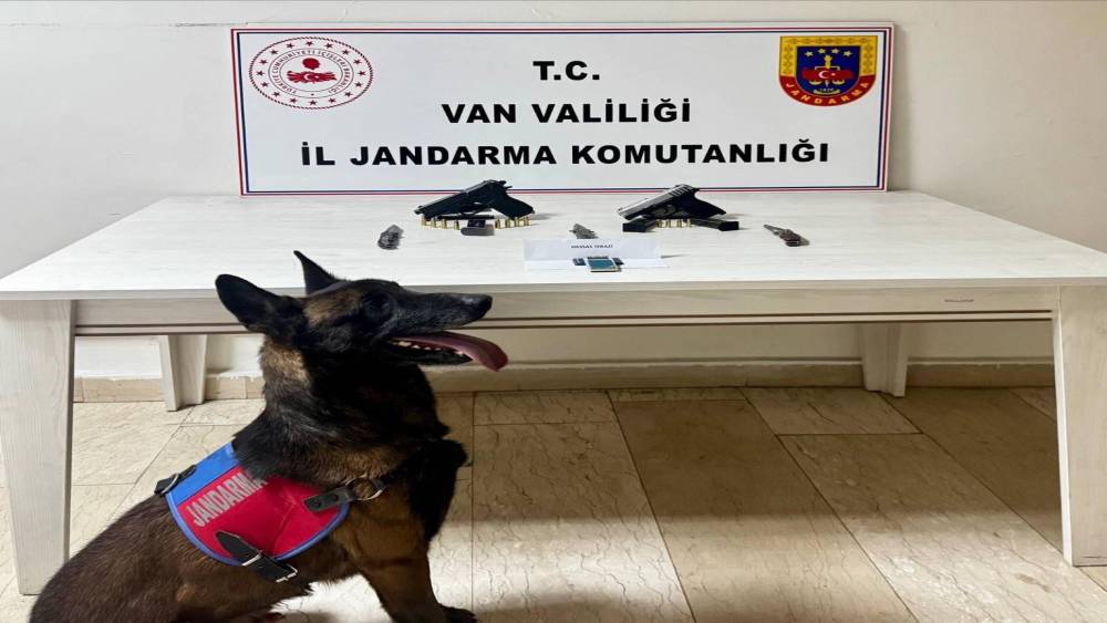 Van&rsquo;da ruhsatsız tabanca ele ge&ccedil;irildi
