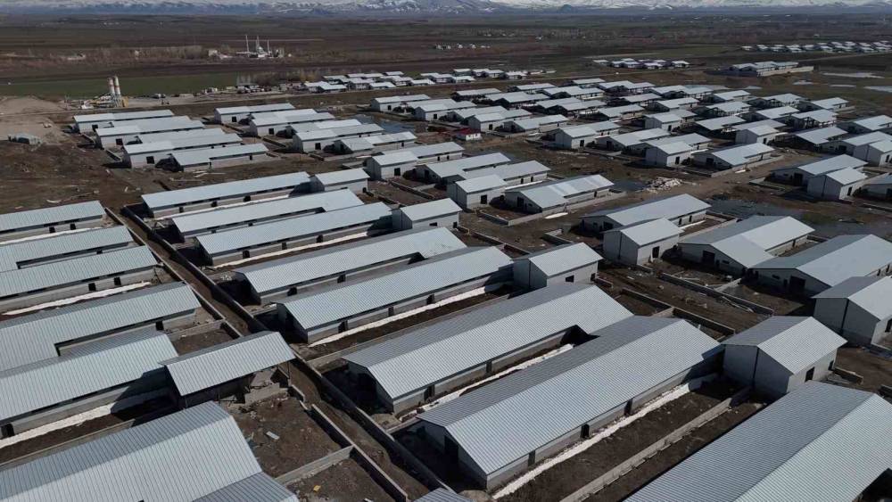 Ağrı&rsquo;da 307 ahırlık hayvancılık &uuml;ss&uuml; hayata ge&ccedil;iyor
