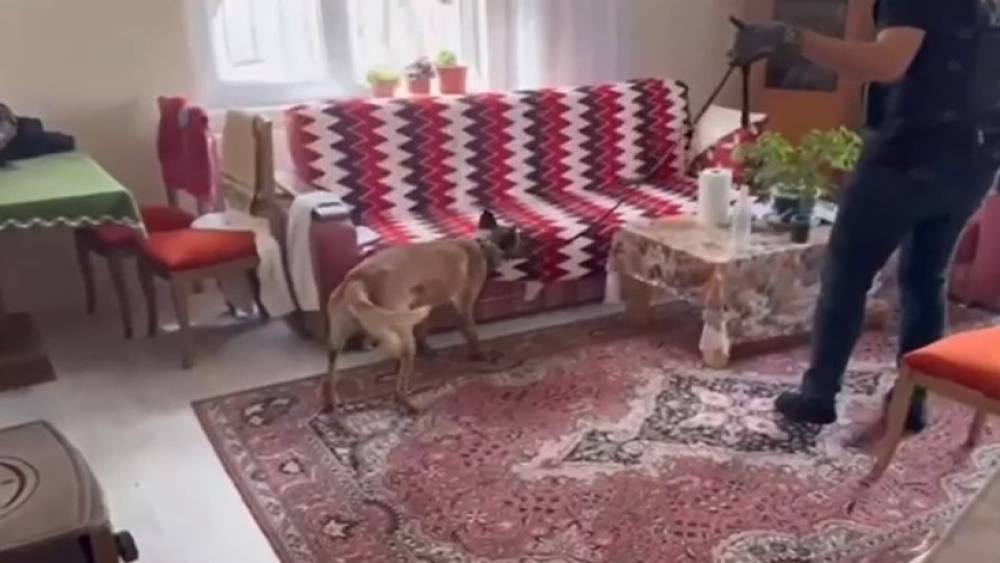 Silah tacirlerine operasyon: &Ccedil;ok sayıda silah ve uyuşturucu ele ge&ccedil;irildi
