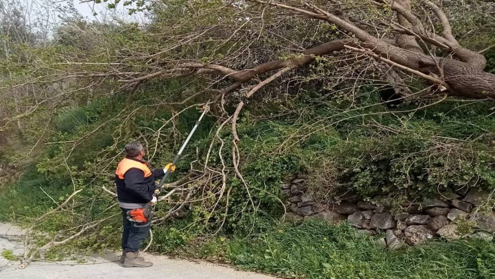 Osmaniye&rsquo;de fırtına etkili oldu, devrilen ağa&ccedil;lar yolları kapattı
