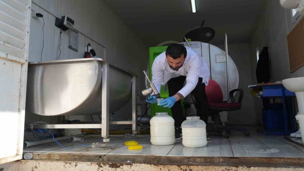 Muş&rsquo;ta &ccedil;iğ s&uuml;t soğuk zincir projesi hayata ge&ccedil;ti
