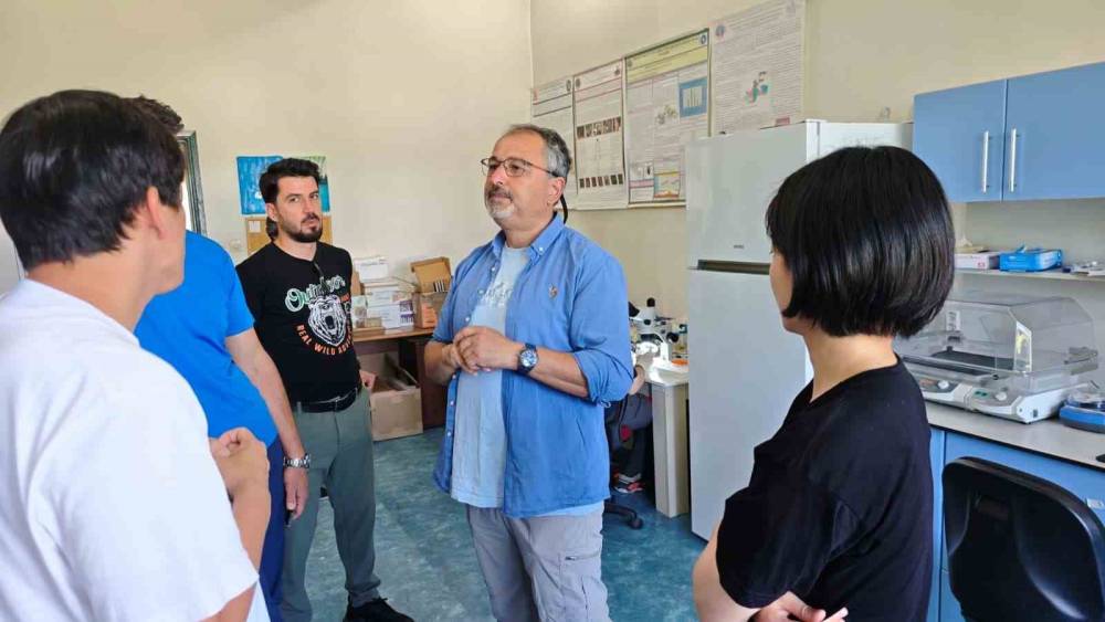 T&uuml;rkiye ve Japonya&rsquo;dan kene tehdidine karşı ortak m&uuml;cadele
