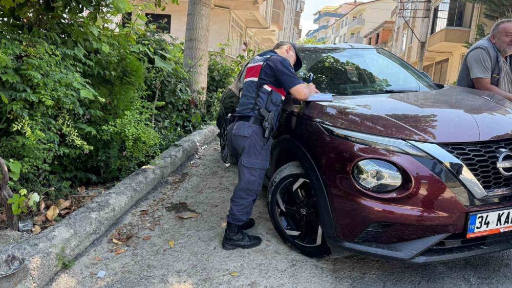 Geri kayan otomobil ağaca &ccedil;arpı: 3 yaralı
