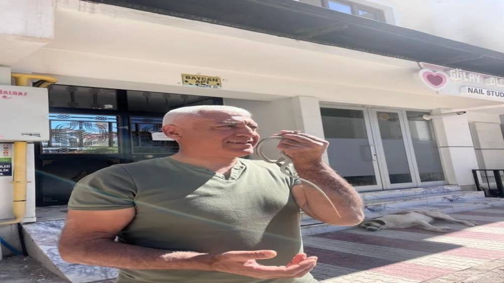 Doğa koruma g&ouml;revlisi, kırsal alanda &ouml;l&uuml; olarak bulundu
