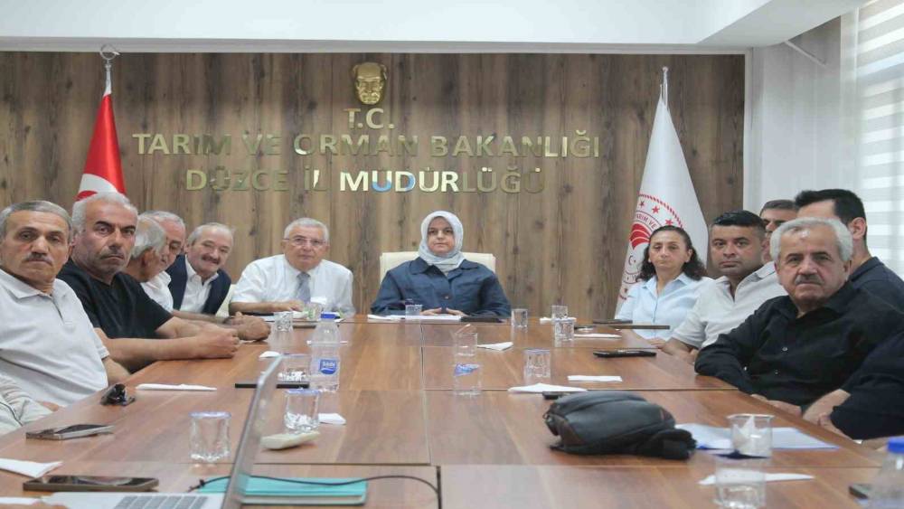 D&uuml;zce&rsquo;de fındık rekolte tahmin &ccedil;alışmaları değerlendirildi
