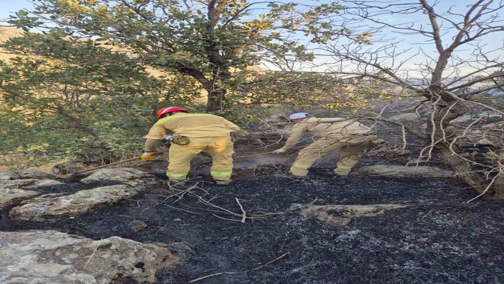 Şirvan&rsquo;da ormanlık alanda &ccedil;ıkan yangın s&ouml;nd&uuml;r&uuml;ld&uuml;
