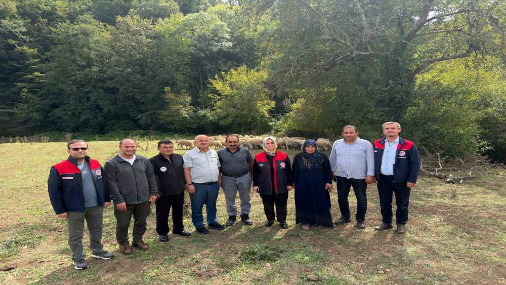Kırsalda bereket, k&uuml;&ccedil;&uuml;kbaşa destek
