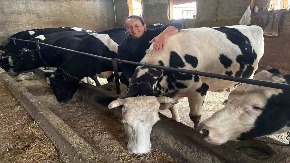 Kadın &ccedil;ift&ccedil;inin azmi devlet desteğiyle b&uuml;y&uuml;d&uuml;: Edirne&rsquo;de 5 hayvanla filizlenen umut, 30 hayvanla b&uuml;y&uuml;d&uuml;
