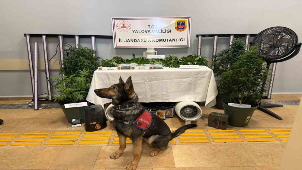 Yalova&rsquo;da evi uyuşturucu serasına &ccedil;eviren 2 zanlı tutuklandı

